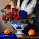 Malacus Still Life