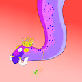 Serpent City NFT