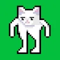 Buff Half Cat