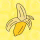 Polygon Ape Community