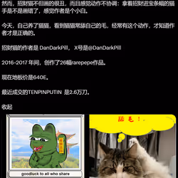 My first NFT Lucky pepe