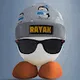 RAYAK the Stylish