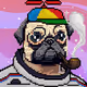 Polygon Pug Yacht Club