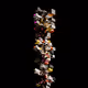 Poverty-X NFT collection