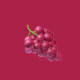 Fruitful ventures ahead