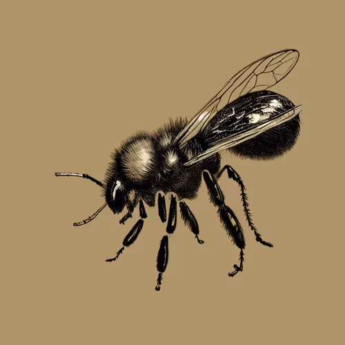 Stinger Prime Bee