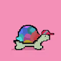 Turtle mini pixel collection