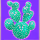 Prickly Pears