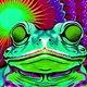 Frogedelic neon trip
