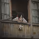 AnimeInReality