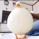 ducksdosuicide