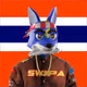 BKKR311