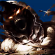 Morbus