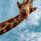 heyyourcute