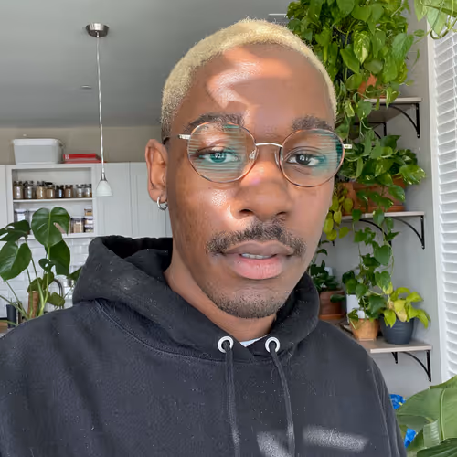 OpenSea profile picture for @Doves