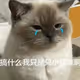 lin040