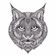 bobcatx