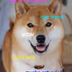 0x00d14e43ed68f1ac3513d77ec10a806623a2a848