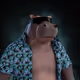 0x00e043300ebebd0f68e1373cc2167eebdb21516c