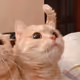 0xDanielH