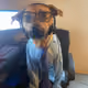 minecraftfan31