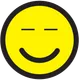 SURGNFT