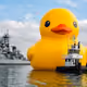 VRDuck