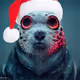 rav_xyz