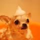 itsPudgy