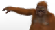 0x016eb20b8fb06b869656bd1e4bea91c126204824