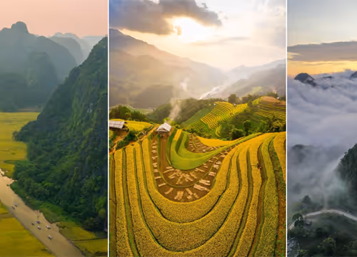 OpenSea banner for @Vietnamese