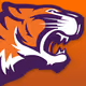 tigervol