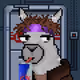 Sjonnoie