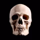 Supremus_Simia