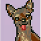 doggy_yyds