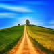 0x01e1bd28056acc4f77261173bd7eba5fc449e6a9