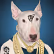 Crypto_Bullron