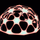 0x01e8cc45554a7d83b6315adbf6b78119028f36ed