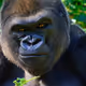 mistaeks
