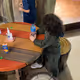 4YEARSOLD