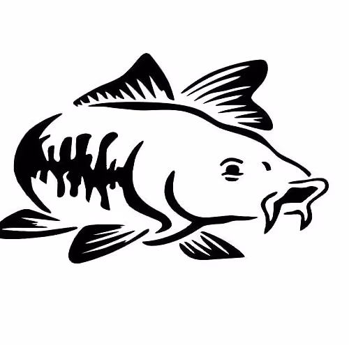 OpenSea profile picture for @Kuras