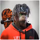 zhenyudiplur