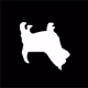UnderdogStudio