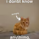 metamask-2