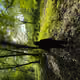 Azad_Nature