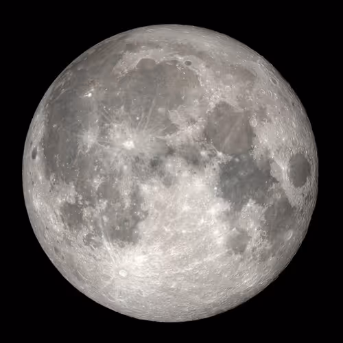 OpenSea banner for @Prospect