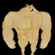 dogeth
