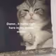 IRL_Melon