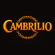 CambrilioTreasury