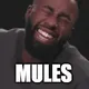 Mulesmen
